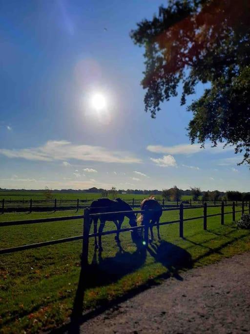 Linderhuisje, Rust, Ruimte, Privacy En Natuur Esterno foto